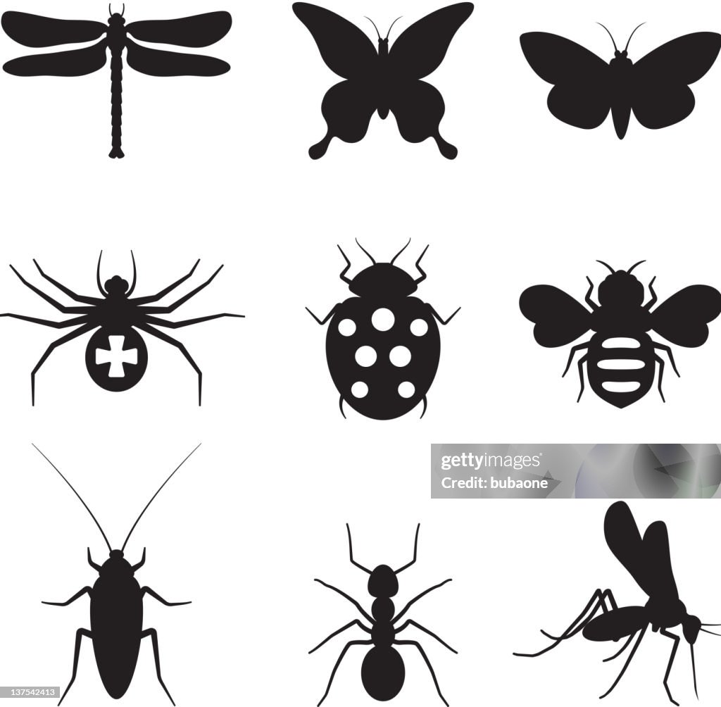 Hermoso insectos blanco y negro Sin royalties de conjunto de iconos vectoriales