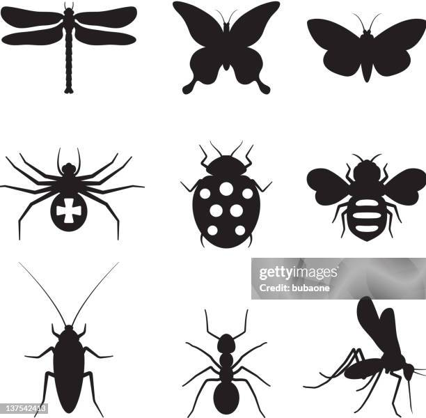 stylized insects black and white royalty free vector icon set - dragon fly stock illustrations