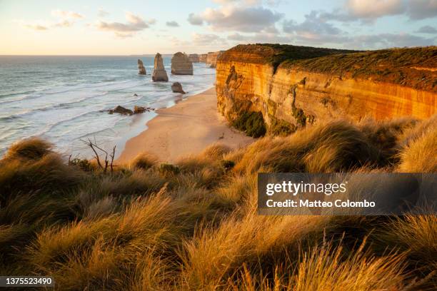 twelve apostles at sunset, great ocean road, australia - australian beach fotografías e imágenes de stock