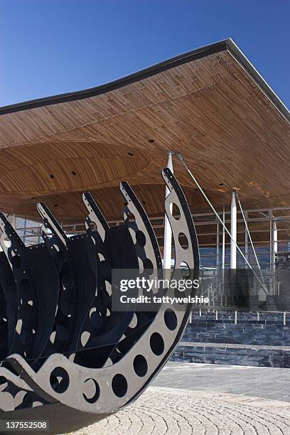 baía de cardiff - welsh culture imagens e fotografias de stock