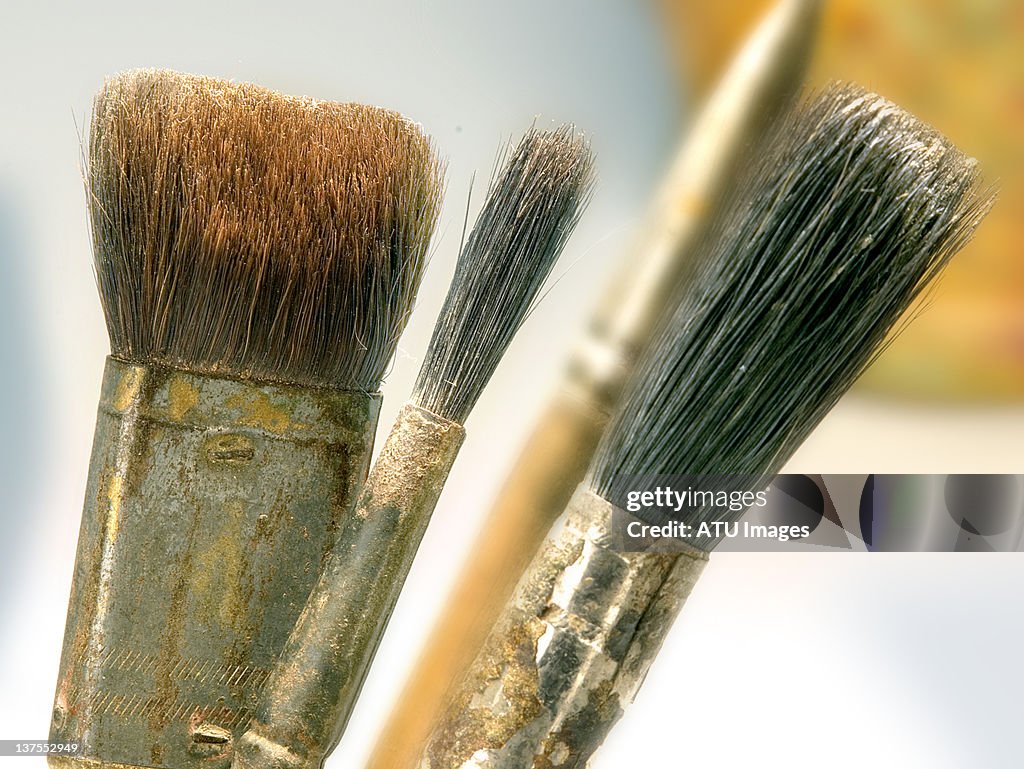 Paint brushes with selective focus