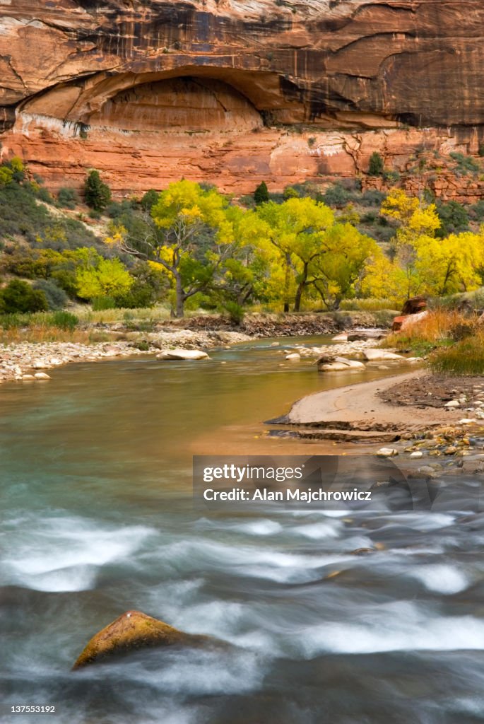 Virgin River, Zion National Park