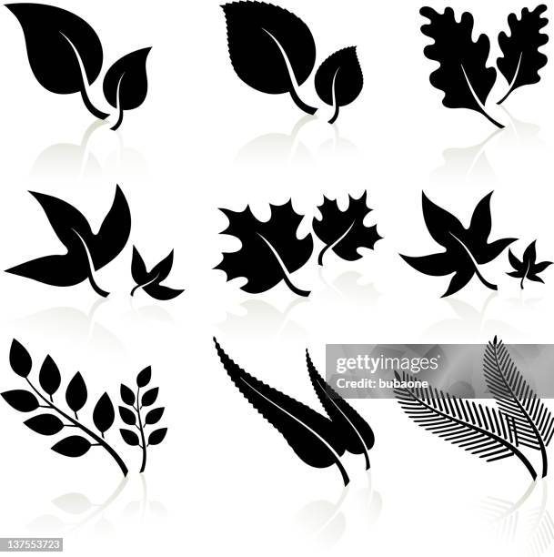 leaves black and white - ground ivy stock illustrations