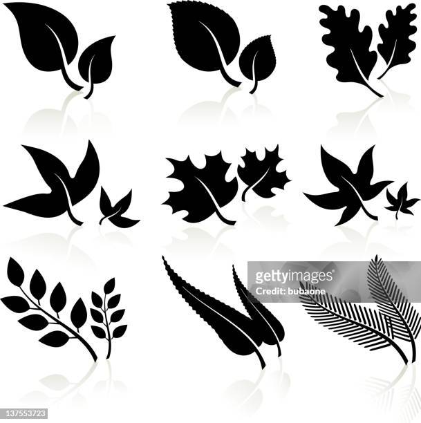 leaves black and white - oak leaf 幅插畫檔、美工圖案、卡通及圖標
