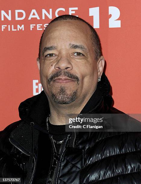 Ice T Rapper Rabbit 1,700 The Art Of Rap Photos & High Res Pictures - Getty Images