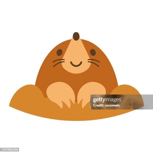 süße maulwurf. - mole animal stock-grafiken, -clipart, -cartoons und -symbole