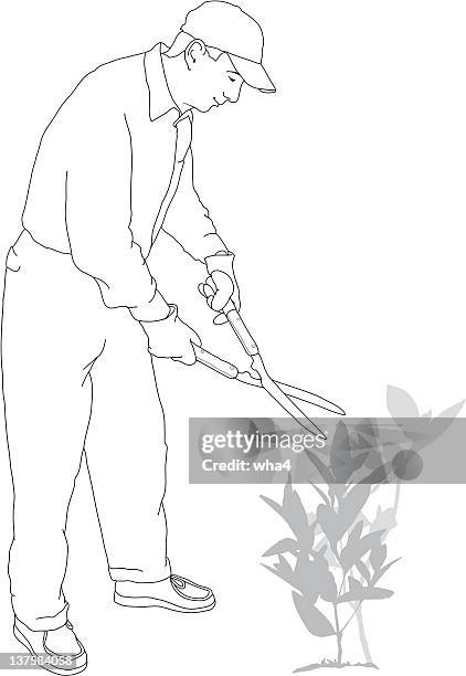 man with hedge clippers - prune stock illustrations
