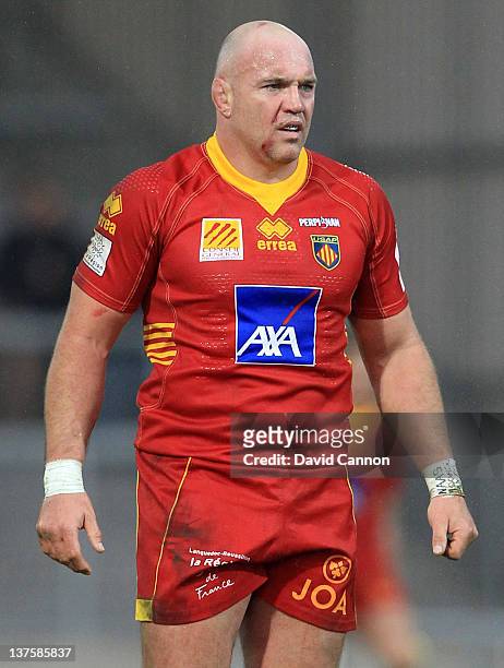 Perry Freshwater of Perpignan during the Amlin Challenge Cup match between Exeter Chiefs and Perpignan at Sandy Park on January 21, 2012 in Exeter,...