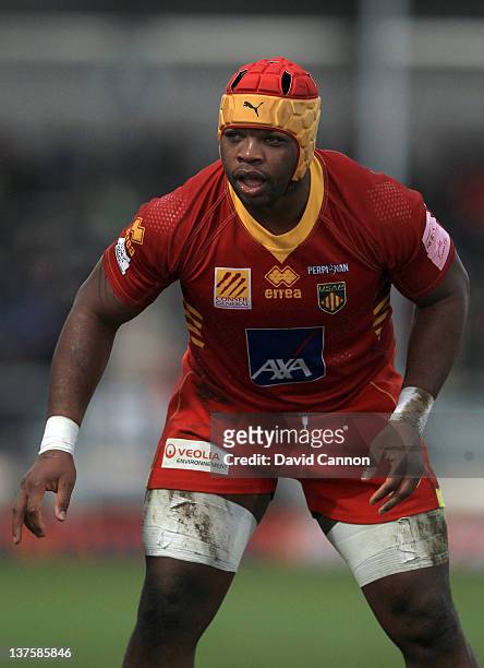 RobinsTchale-Watchou of Perpignan during the Amlin Challenge Cup match between Exeter Chiefs and Perpignan at Sandy Park on January 21, 2012 in...