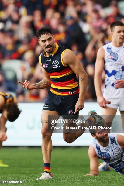 Izak Rankine of the Crows celebrates a goal during the 2023 AFL Round 16 match between the Adelaide Crows and the North Melbourne Kangaroos at...