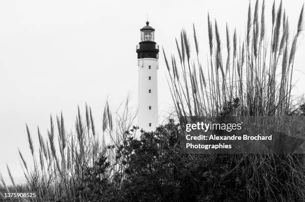 biarritz lighthouse - aquitaine stock pictures, royalty-free photos & images