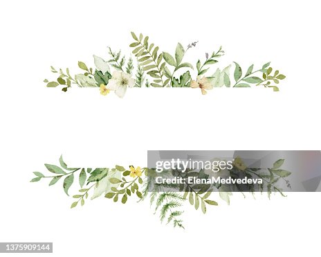 Watercolor Vector Banner With Green Forest Foliage And Flowers Floral ...