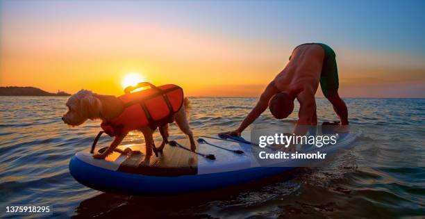 man doing yoga on paddle board - paddle board men imagens e fotografias de stock