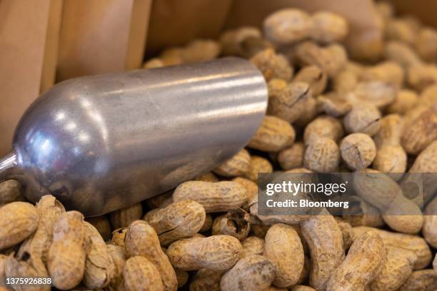 Peanuts at the first outlet of US burger restaurant chain Five Guys in the Gangnam District of Seoul, South Korea, on Saturday, July 1, 2023. The...
