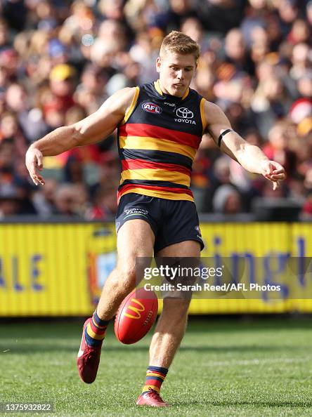 AFL Rd 16 - Adelaide v North Melbourne AFL Rd 16 - Adelaide v North Melbourne