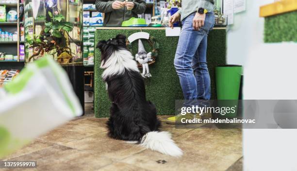 pet shop - djuraffär bildbanksfoton och bilder