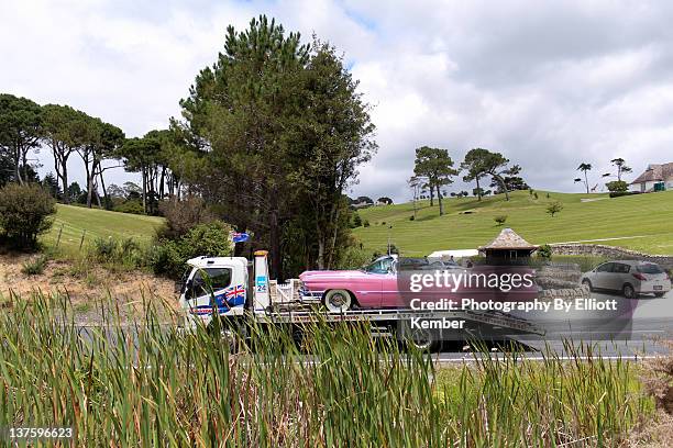 Pink cadillac is removed from the mansion estate of alleged internet pirate Kim Dotcom on January 20, 2012 in Auckland, New Zealand. Co-founders of...