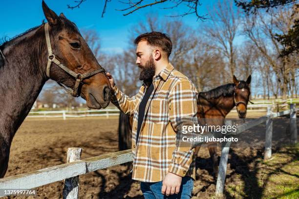 hombres caucásicos que pasaban su tiempo libre con caballos. - nariz de animal fotografías e imágenes de stock