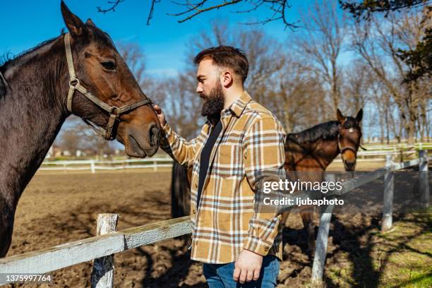 uomini caucasici che trascorrono il suo tempo libero con il cavallo. - animal nose foto e immagini stock