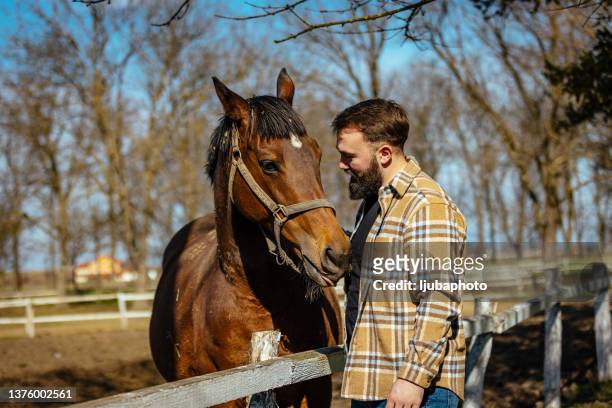 horse trainer in his yard with thoroughbred race horse - western dressage stock pictures, royalty-free photos & images