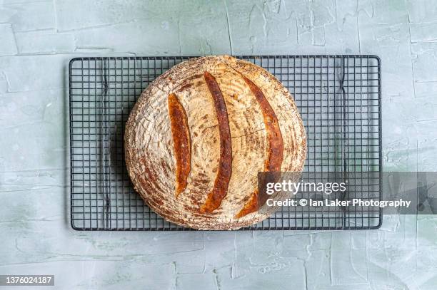 littlebourne, kent, england, uk. 10 september 2021. fresh sourdough bread cooling on a wire rack. - scoring bread stock pictures, royalty-free photos & images