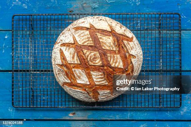 littlebourne, kent, england, uk. 27 october 2021. fresh sourdough bread cooling on a wire rack. - pane a lievito naturale foto e immagini stock