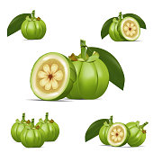 Garcinia cambogia fruit dietary supplement Premium Vector