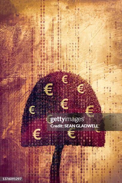 euro data tree - binary tree stock pictures, royalty-free photos & images