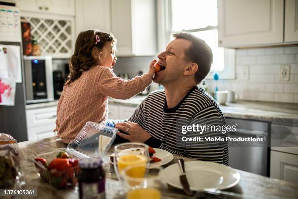 toddler girl feeding her father a strawberry in kitchen - family fun fotografías e imágenes de stock