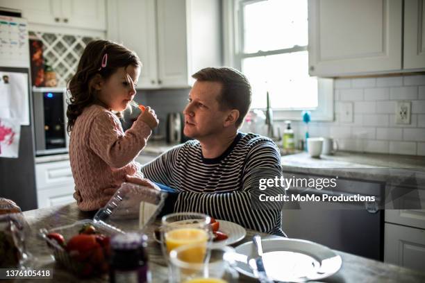 toddler girl feeding her father a strawberry in kitchen - vida de bebé fotografías e imágenes de stock