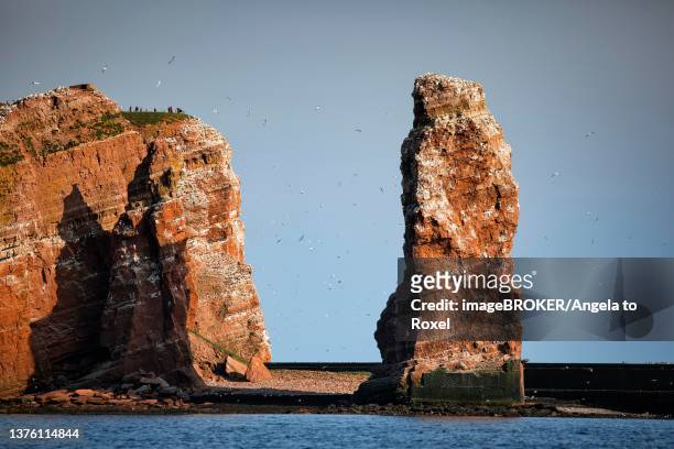 view from the sea to the rocky island of helgoland with surf pillars lange anna and kleine anna, north sea, schleswig-holstein, germany - helgoland stockfoto's en -beelden