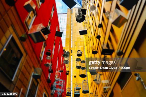 floating bird cages,low angle view of colorful walks and hanging cages,sydney,new south wales,australia - street sydney stock-fotos und bilder