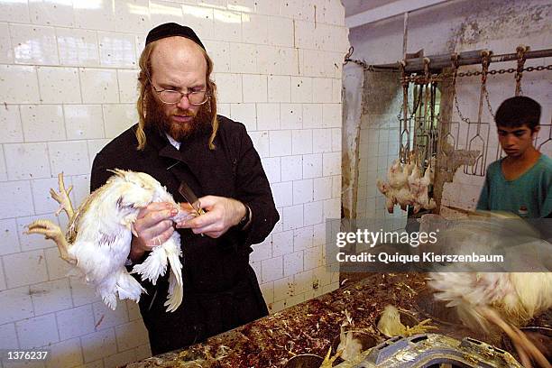 An Orthodox Jewish butcher slaughters chickens that were used in "kaparot" rituals in the Orthodox neighborhood of Mea Shearim September 10, 2002 in...