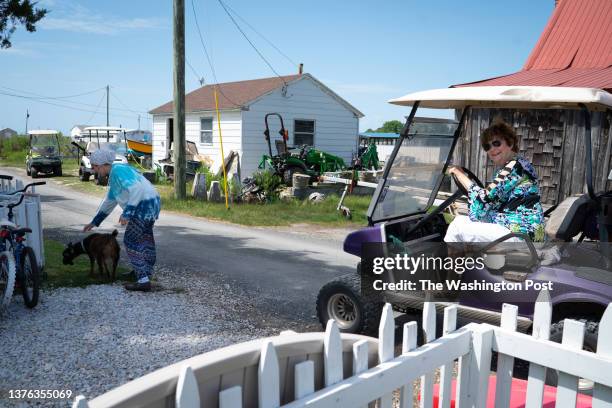 Smith Island, MD Elley Laird left, pulls her goat off the road, as neighbor, Donna Evans drives by in her golf cart. Even with climate change and...
