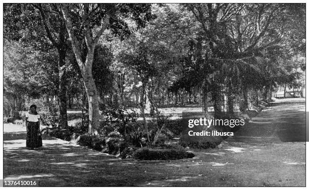 antique travel photographs of mexico: the alameda at orizaba - mexico black and white stock illustrations