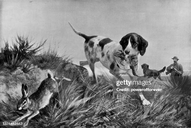look out! here’s something else!/hunting dog, painting by carl friedrich deiker - 19th century - hunting dog stock illustrations