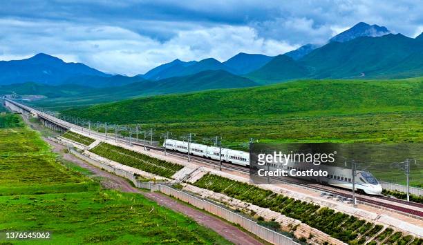 Bullet train enters Shandan Machang Station, the world's highest high-speed railway station at 3,108m, in Zhangye city, Gansu province, China, July...