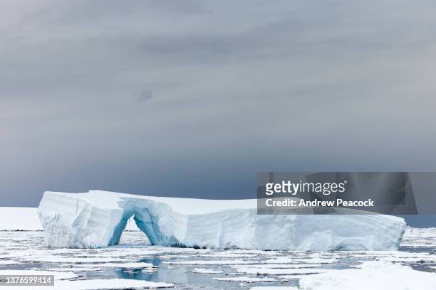 iceberg in antarctica. - iceberg bildbanksfoton och bilder