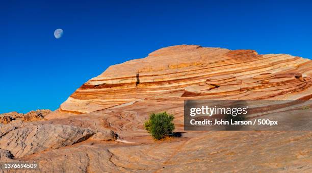 moony wave,scenic view of rock formation against clear blue sky,valley of fire state park,united states,usa - valley of fire state park stock pictures, royalty-free photos & images