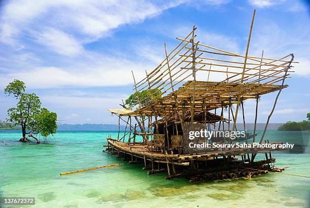 havelock island - andaman islands stock pictures, royalty-free photos & images