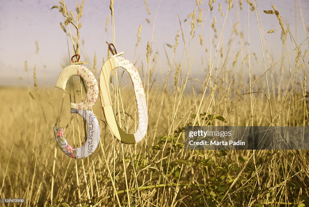 Number hanging in field, Spain