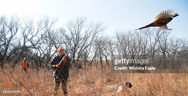 Ringneck Ranch 16 Ringneck Ranch Stock Photos, High-Res Pictures, and Images - Getty ...