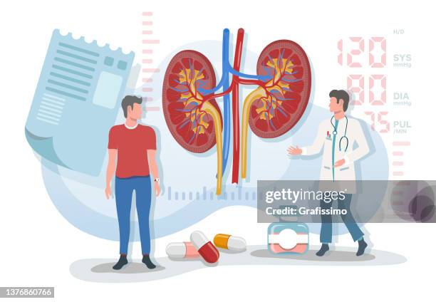 flat vector illustration doctor explaining to patient urinal system with kidney - doctor patient white background standing stock illustrations