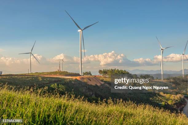 wind farm or wind park - dalat stock pictures, royalty-free photos & images