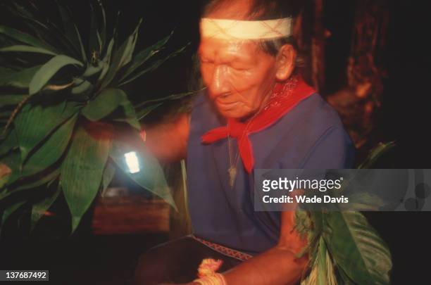 Shaman wear clothing in a deliberate attempt to mimic the deportment the visionary beings encountered after ingesting ayahuasca, Rio Aguarico,...