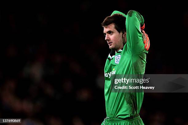 During the Carling Cup Semi Final second leg match between Cardiff City and Crystal Palace at Cardiff City Stadium on January 24, 2012 in Cardiff,...