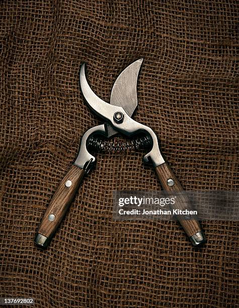 gardening shears - pruning shears stock pictures, royalty-free photos & images