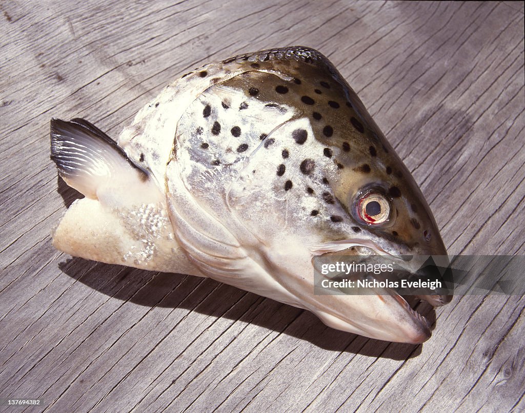 A fish head on a wooden plank