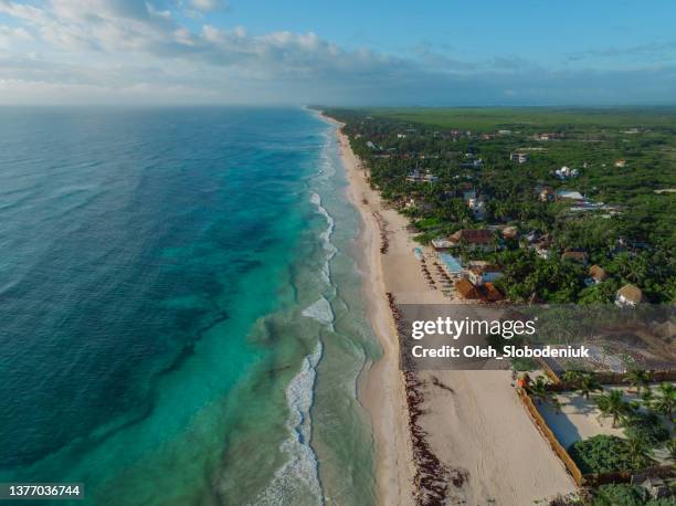 aerial view of tulum beach at sunset - mexico beach stock pictures, royalty-free photos & images