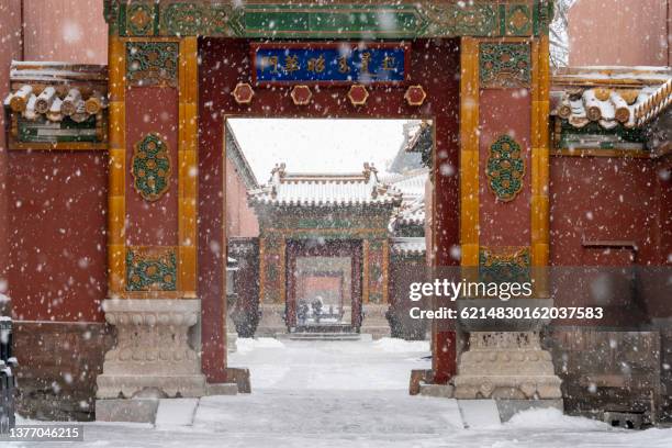 snow scenery of the forbidden city - moat 個照片及圖片檔